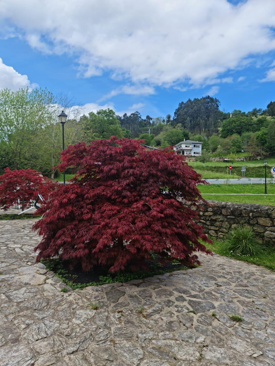 Posada Las Mozas Del Agua De Riocorvo Exterior photo